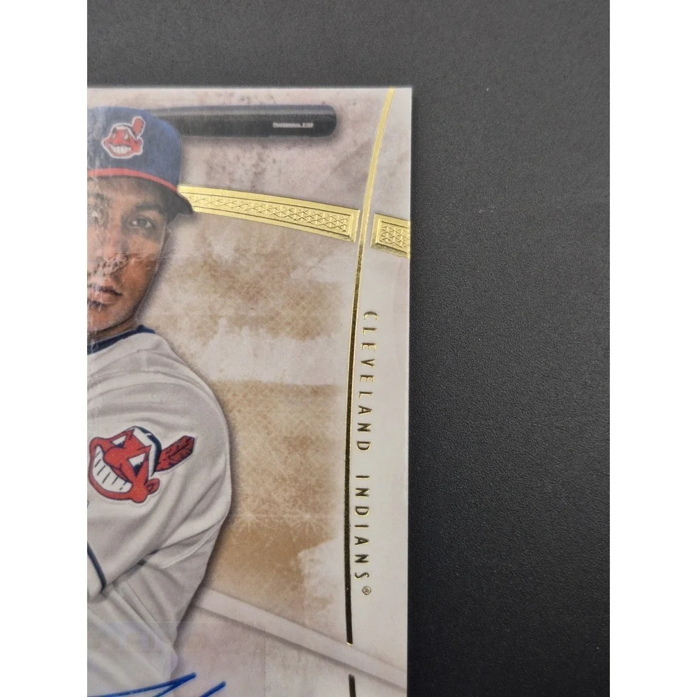 2014 Topps Supreme Michael Brantley #SA-MBR Sepia Auto /35 Cleveland Indians